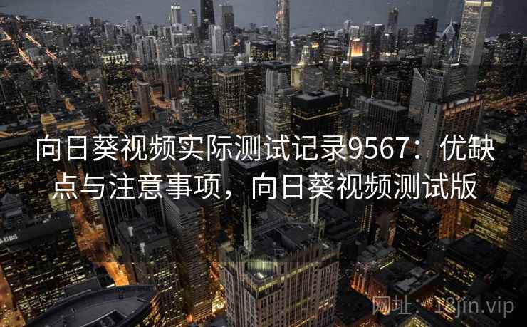 向日葵视频实际测试记录9567：优缺点与注意事项，向日葵视频测试版