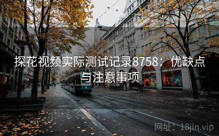 探花视频实际测试记录8758：优缺点与注意事项