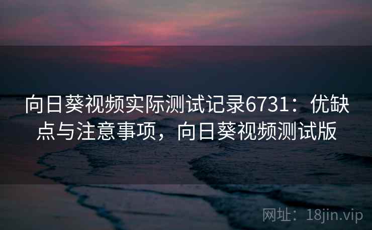 向日葵视频实际测试记录6731：优缺点与注意事项，向日葵视频测试版