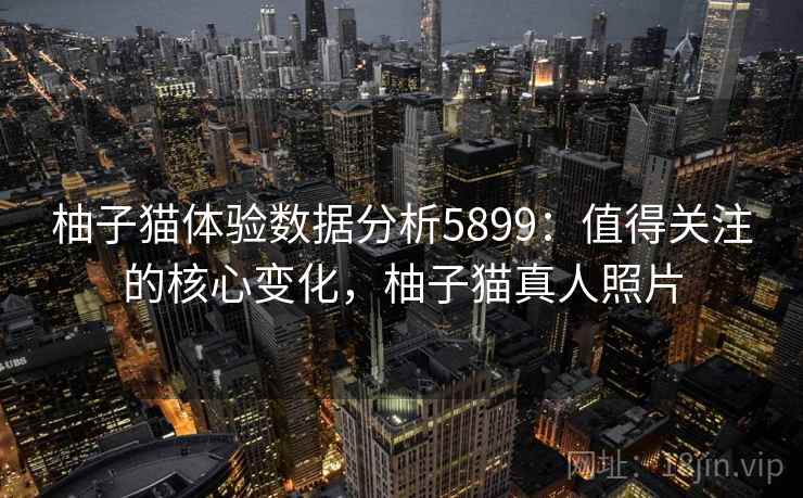 柚子猫体验数据分析5899：值得关注的核心变化，柚子猫真人照片