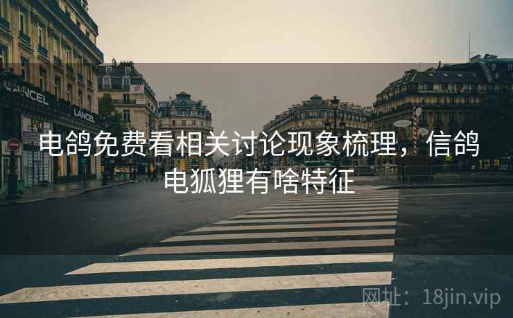 电鸽免费看相关讨论现象梳理，信鸽电狐狸有啥特征