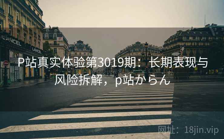 P站真实体验第3019期：长期表现与风险拆解，p站からん