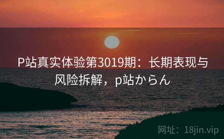 P站真实体验第3019期：长期表现与风险拆解，p站からん