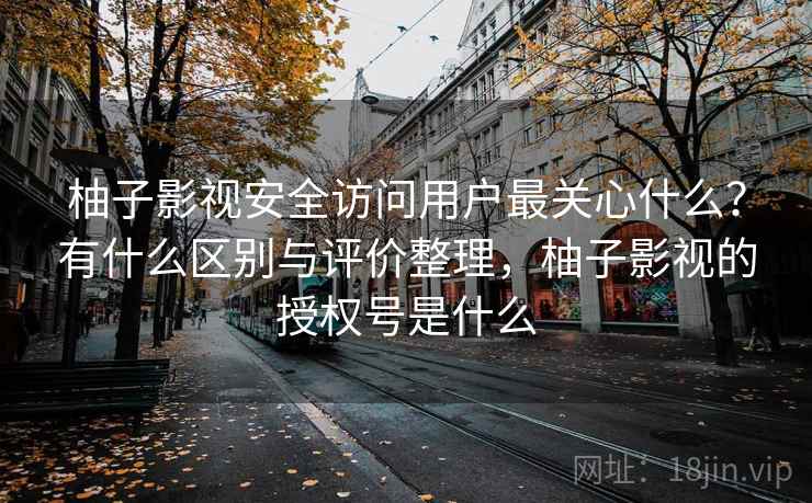柚子影视安全访问用户最关心什么？有什么区别与评价整理，柚子影视的授权号是什么