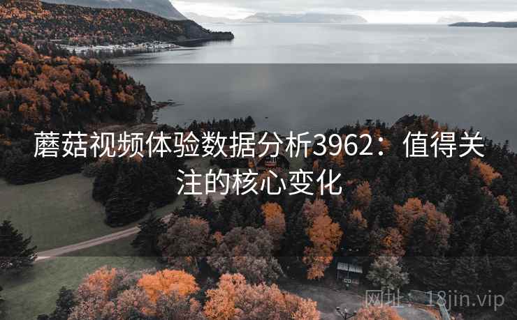 蘑菇视频体验数据分析3962：值得关注的核心变化