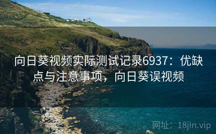 向日葵视频实际测试记录6937：优缺点与注意事项，向日葵误视频