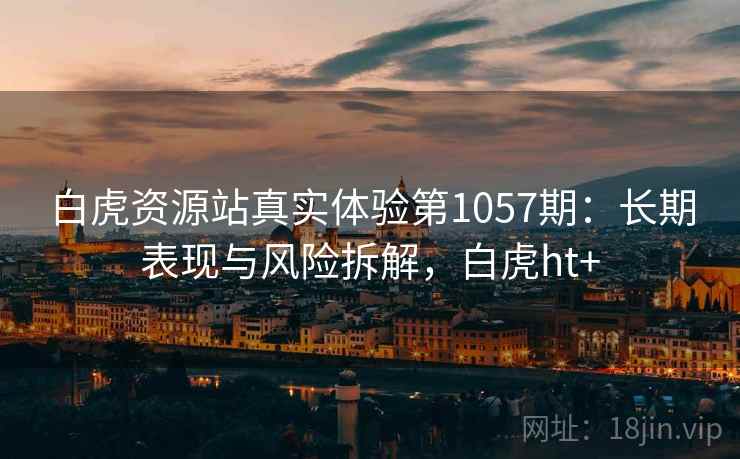 白虎资源站真实体验第1057期：长期表现与风险拆解，白虎ht+